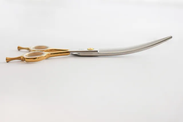 Aurora Gold 7.5" Buet Saks